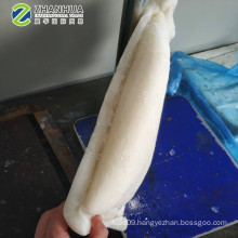 giant squid fillet, frozen peru squid fillet, import peru giant squid